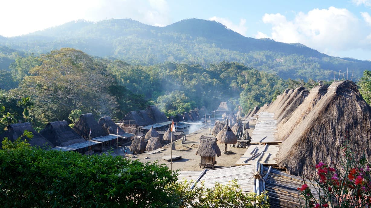 bena village flores