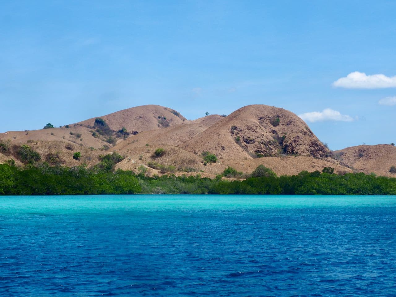 Komodo-Insel, ein Muss bei einer Reise nach Indonesien