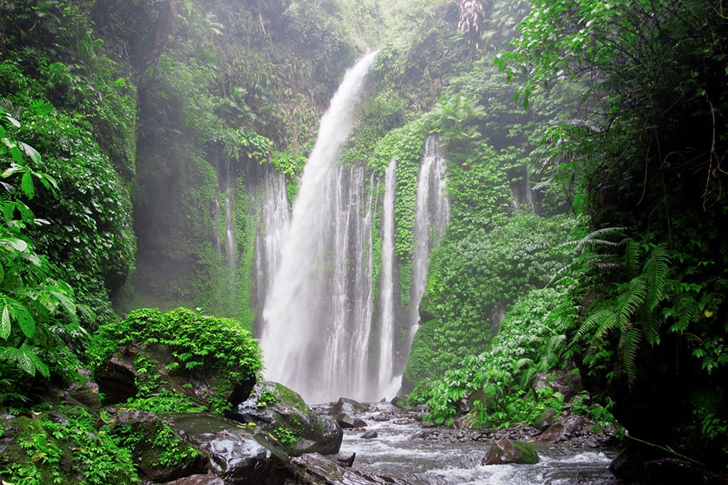indonesia lombok senaru sindang gila waterfalls 04 photo by dominic c for azimuth adventure travel ltd