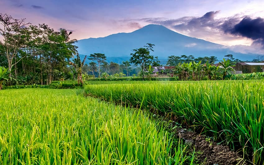 Baturraden